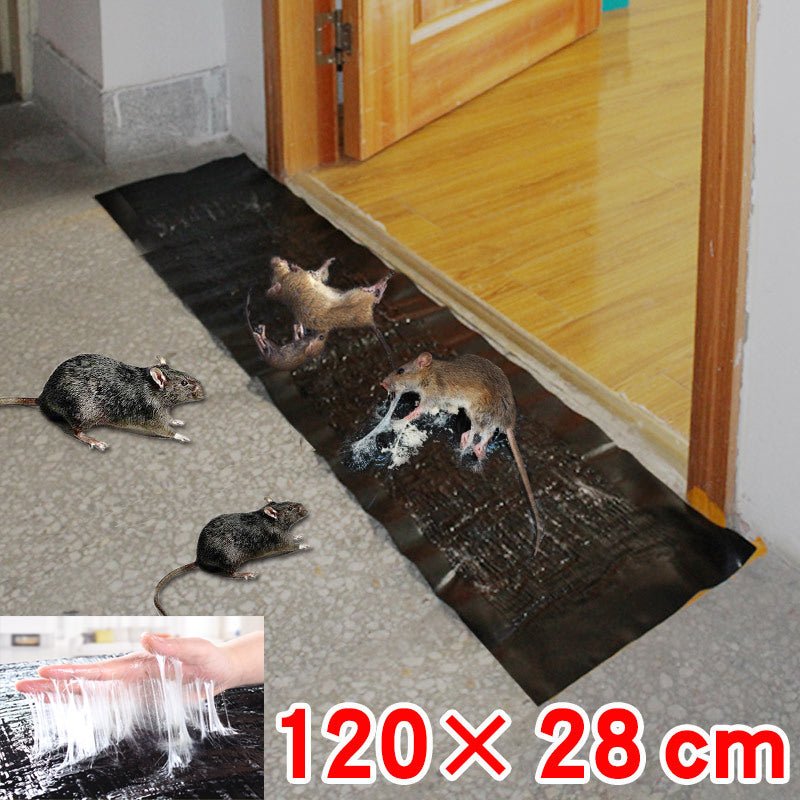 Kalsten | TRAPZONE MAX – Large Non-Toxic Sticky Trap for Effective Pest Control