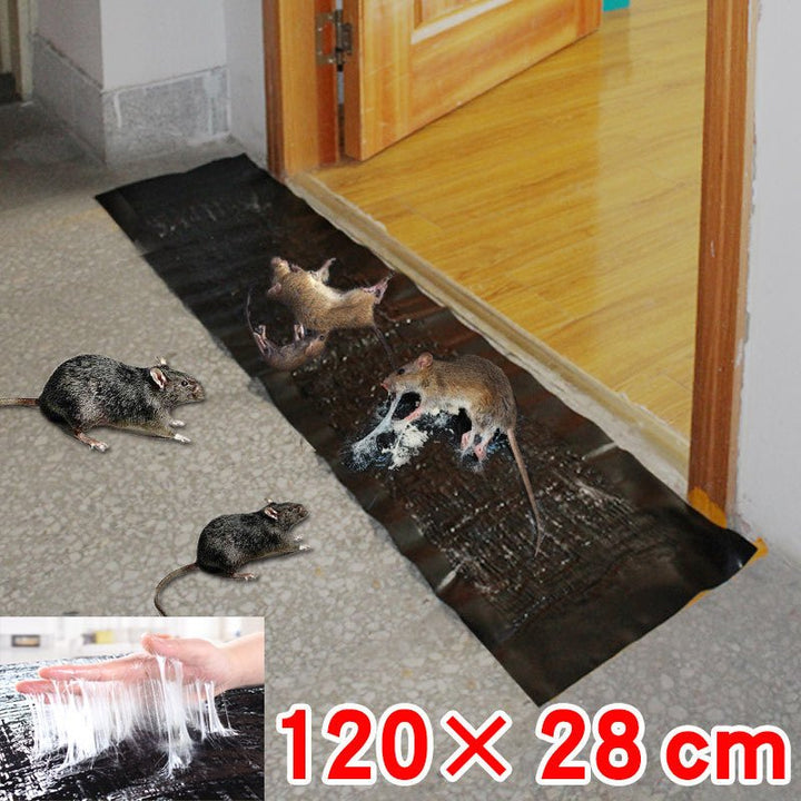 Kalsten | TRAPZONE MAX – Large Non-Toxic Sticky Trap for Effective Pest Control