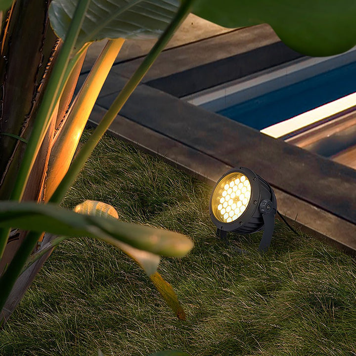 Decorative Ground Spotlight for Outdoor Tree Landscape Lighting | Kalsten