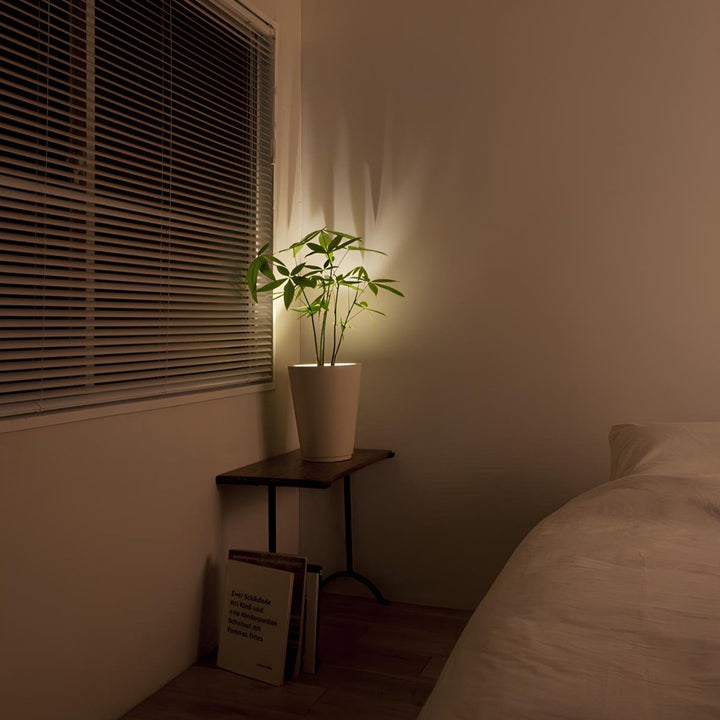 Adjustable LED Wall Spotlight Kalsten