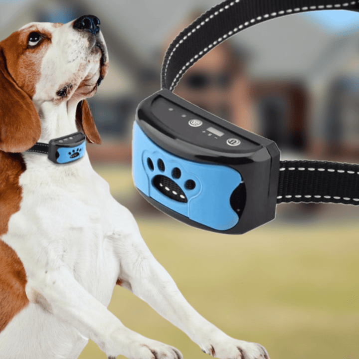 Anti-Bark Training Collar with Vibration