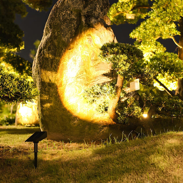 Solar LED Adjustable Spotlight