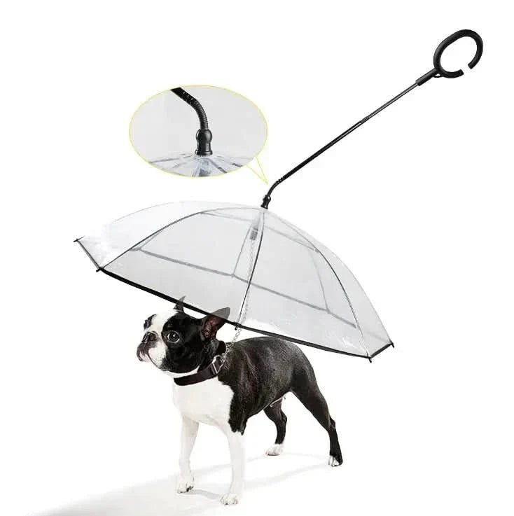 Kalsten | Transparent umbrella for dogs