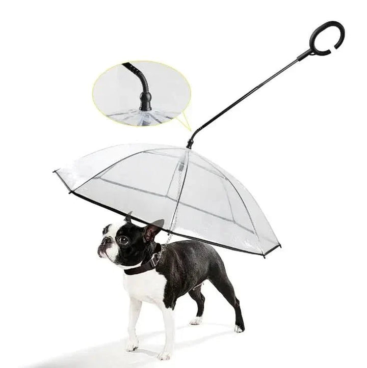 Kalsten | Transparent umbrella for dogs